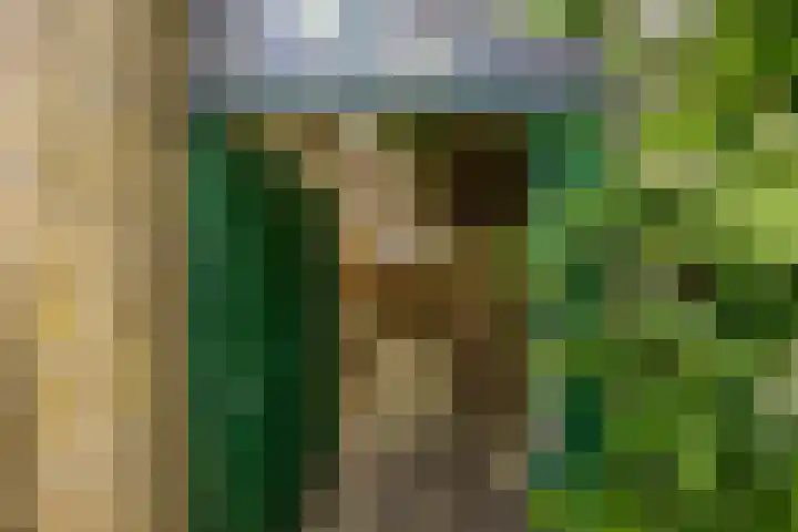 Thomas van de Dijkweg 29 Zuidhorn thumbnail 30