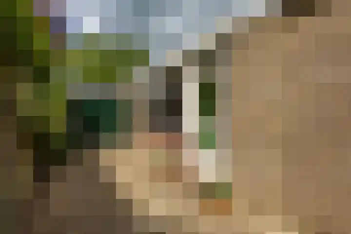 Thomas van de Dijkweg 29 Zuidhorn thumbnail 31