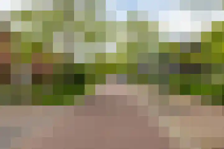 Thomas van de Dijkweg 29 Zuidhorn thumbnail 33