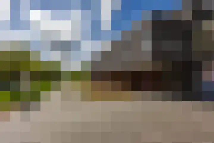 Thomas van de Dijkweg 29 Zuidhorn thumbnail 34