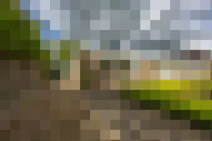 Thomas van de Dijkweg 29 Zuidhorn thumbnail 4