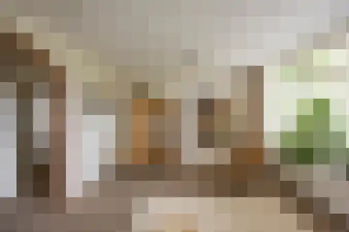 Thomas van de Dijkweg 29 Zuidhorn thumbnail 8