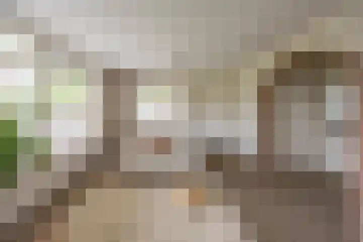 Thomas van de Dijkweg 29 Zuidhorn thumbnail 9