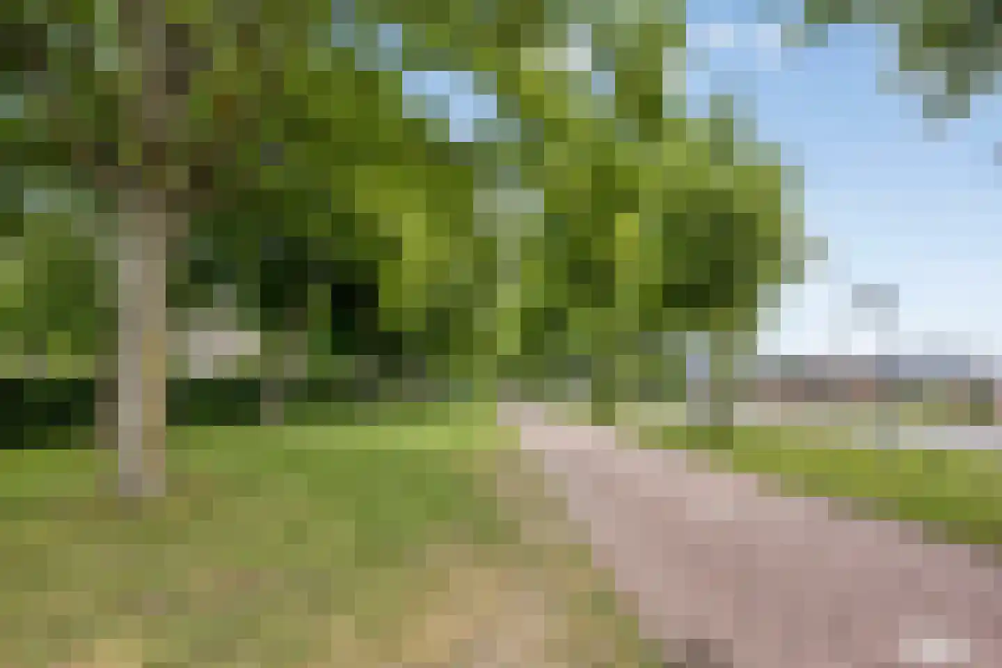 Thomas van der Wiltpad 35 Oud-Beijerland thumbnail 39
