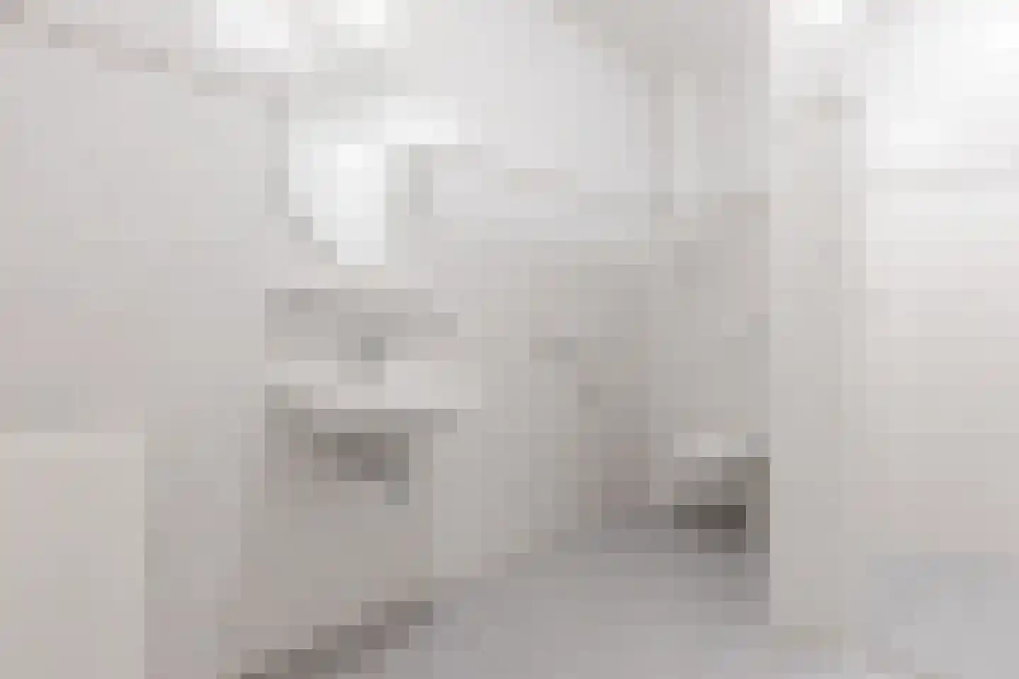 Thomas van Diessenstraat 1 17 Goirle thumbnail 15
