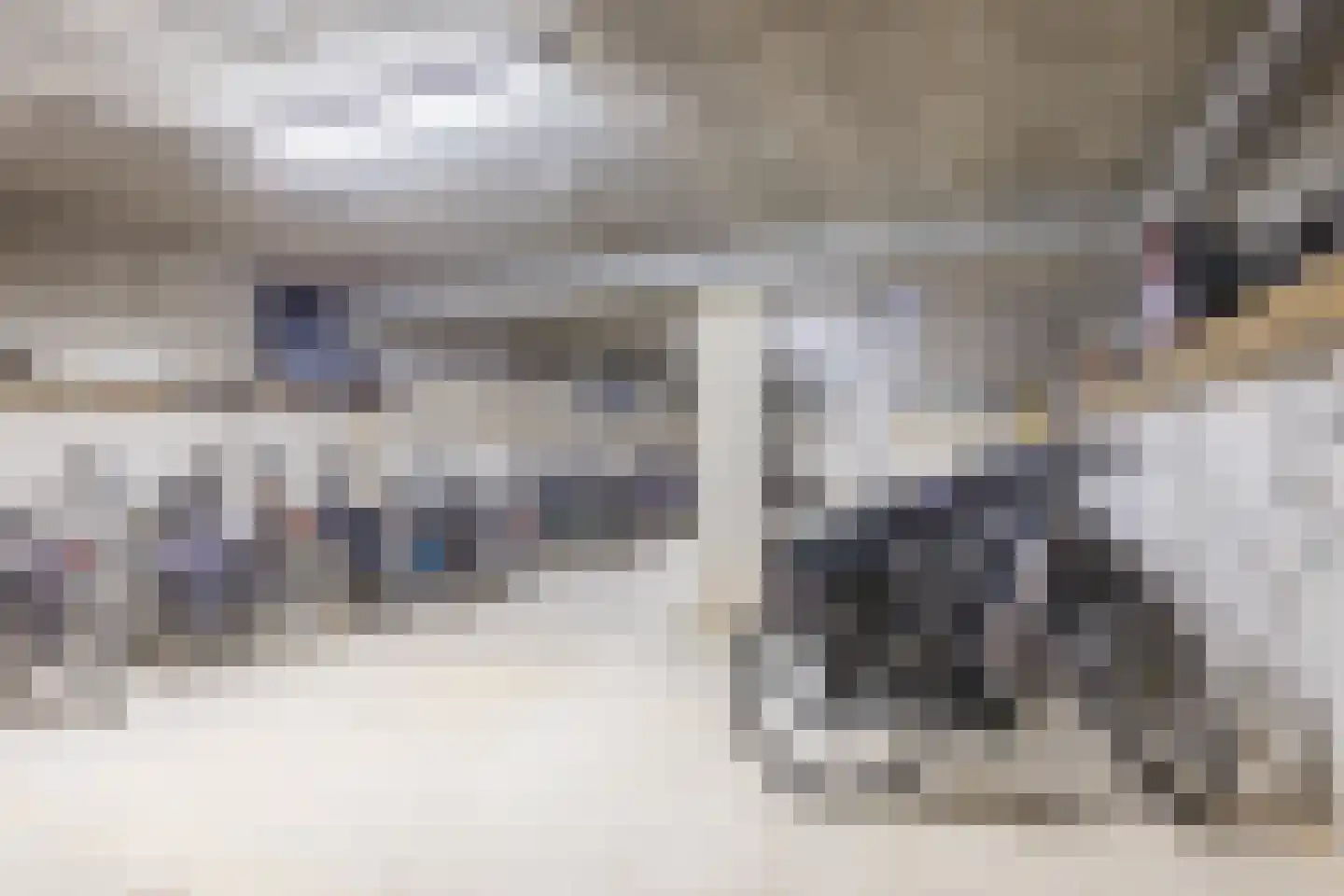 Thomas van Diessenstraat 1 17 Goirle thumbnail 24