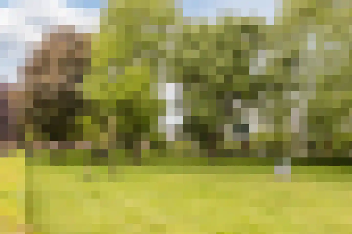Thomas van Diessenstraat 1 17 Goirle thumbnail 29