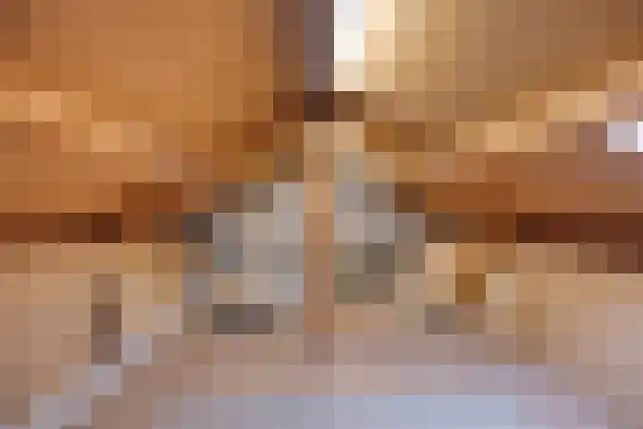 Thomas van Diessenstraat 39 Goirle thumbnail 22