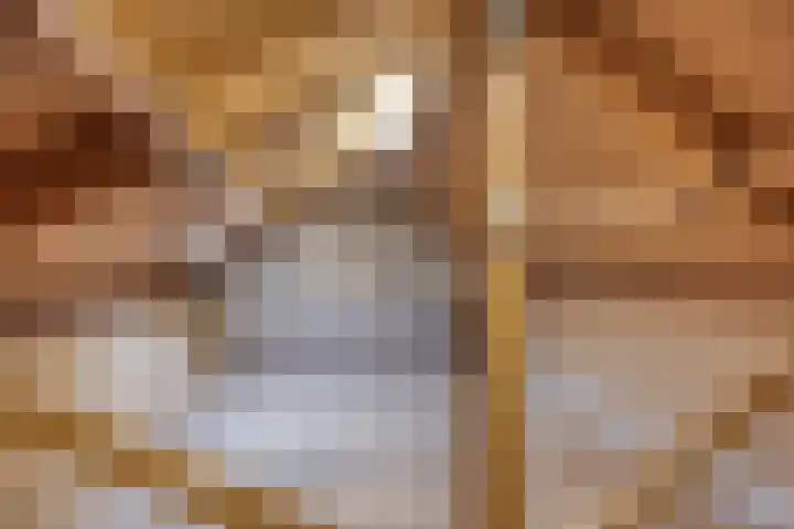 Thomas van Diessenstraat 39 Goirle thumbnail 23