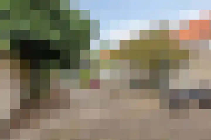 Thomas van Diessenstraat 39 Goirle thumbnail 24
