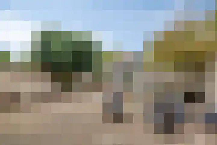 Thomas van Diessenstraat 39 Goirle thumbnail 25
