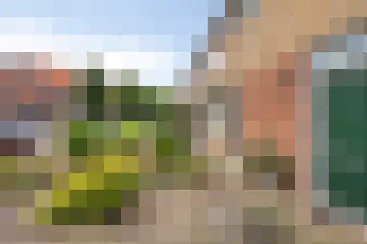 Thomas van Diessenstraat 39 Goirle thumbnail 27