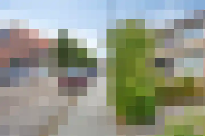 Thomas van Diessenstraat 39 Goirle thumbnail 28
