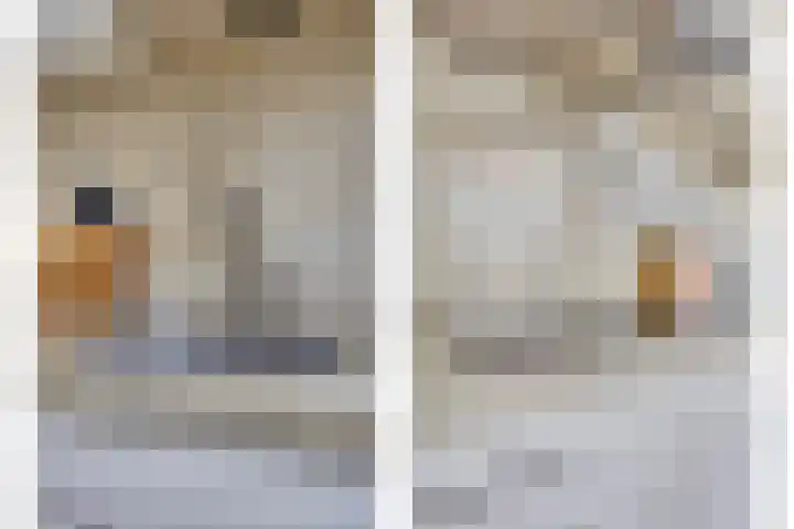 Thomas van Diessenstraat 39 Goirle thumbnail 9