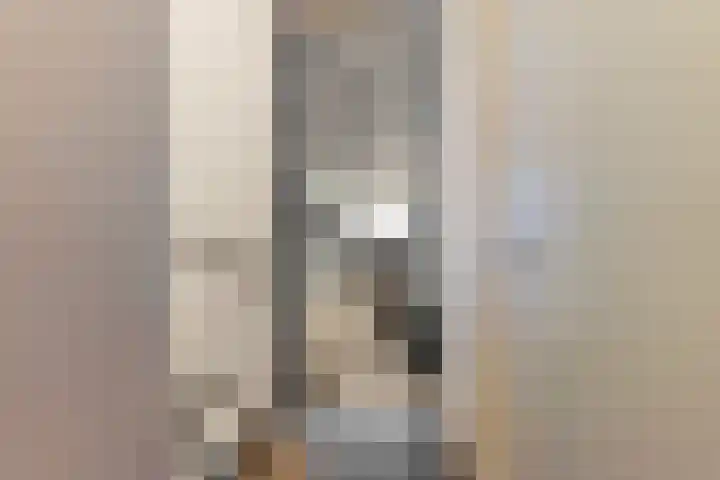 Thomas van Diessenstraat 48 Goirle thumbnail 15