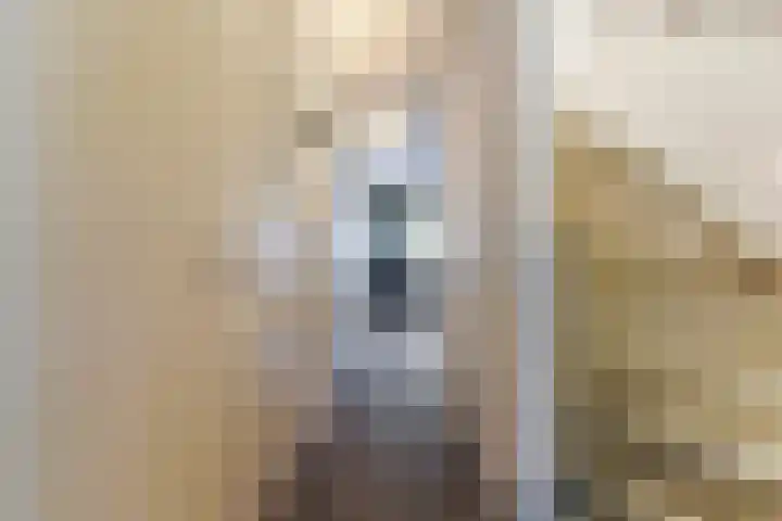 Thomas van Diessenstraat 48 Goirle thumbnail 17