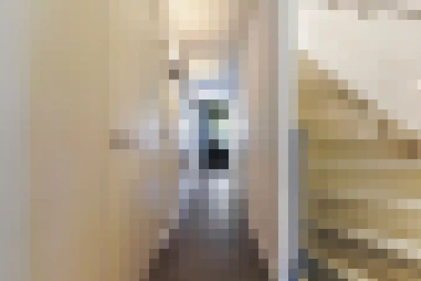 Thomas van Diessenstraat 48 Goirle thumbnail 17