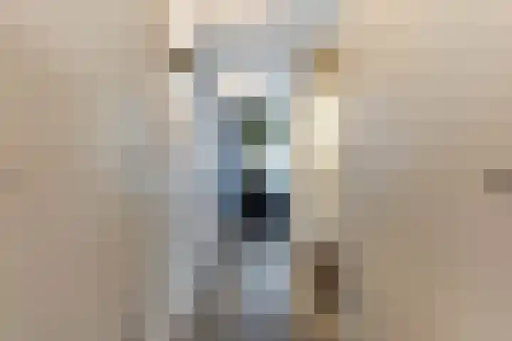 Thomas van Diessenstraat 48 Goirle thumbnail 18