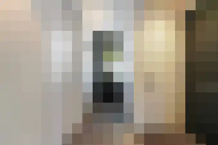Thomas van Diessenstraat 48 Goirle thumbnail 19