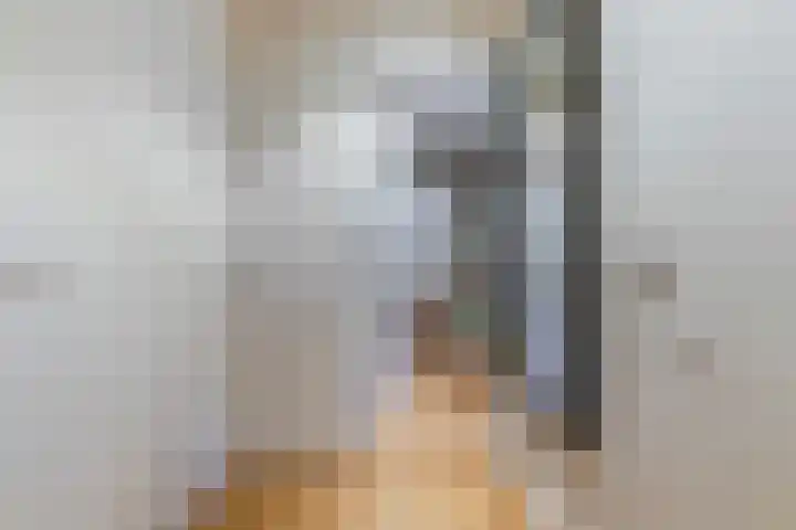 Thomas van Diessenstraat 48 Goirle thumbnail 35