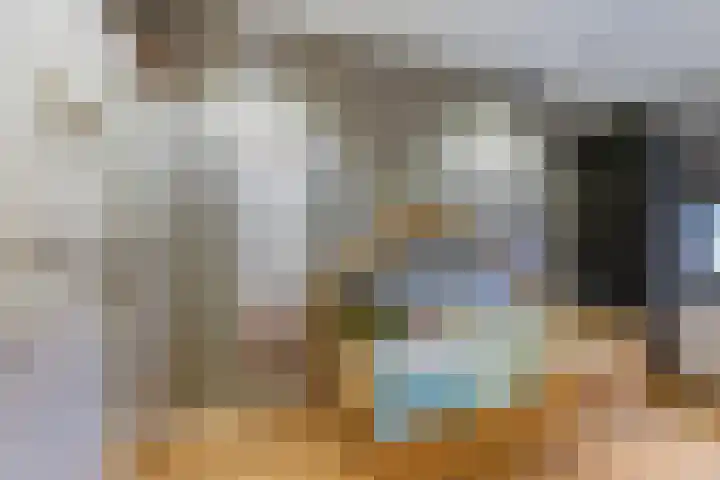 Thomas van Diessenstraat 48 Goirle thumbnail 36