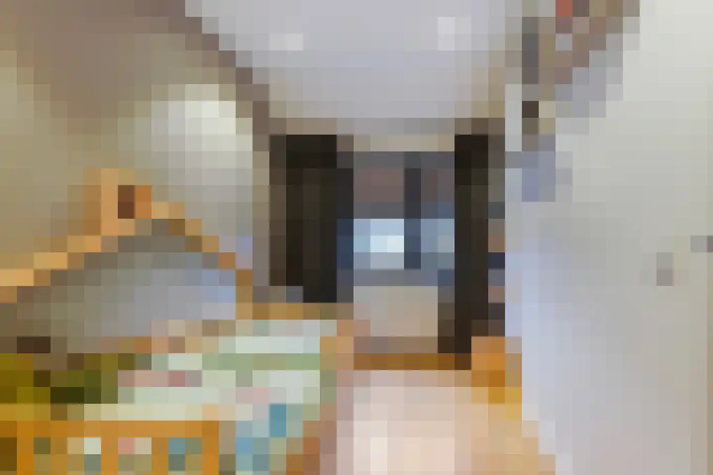 Thomas van Diessenstraat 48 Goirle thumbnail 37