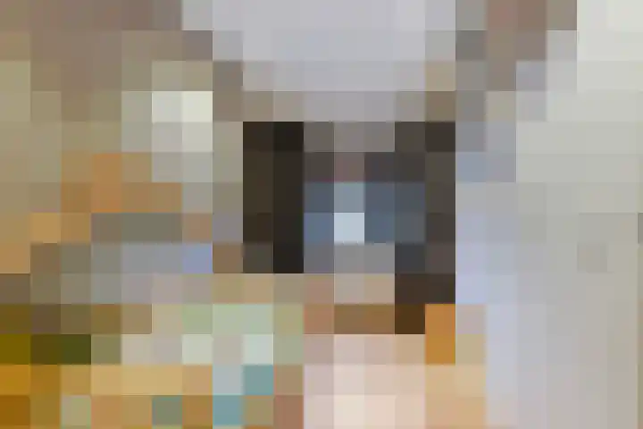 Thomas van Diessenstraat 48 Goirle thumbnail 37