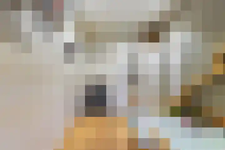 Thomas van Diessenstraat 48 Goirle thumbnail 38
