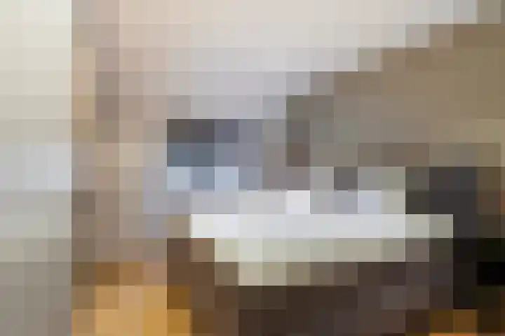 Thomas van Diessenstraat 48 Goirle thumbnail 40