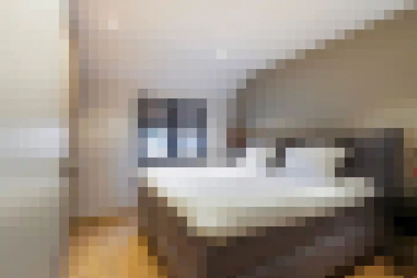 Thomas van Diessenstraat 48 Goirle thumbnail 40