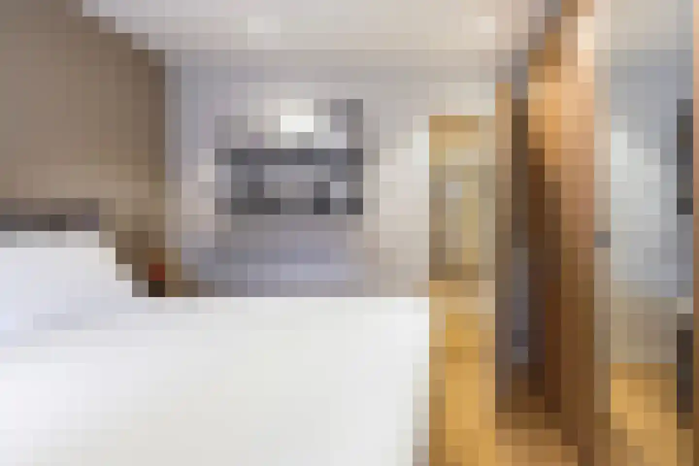 Thomas van Diessenstraat 48 Goirle thumbnail 41