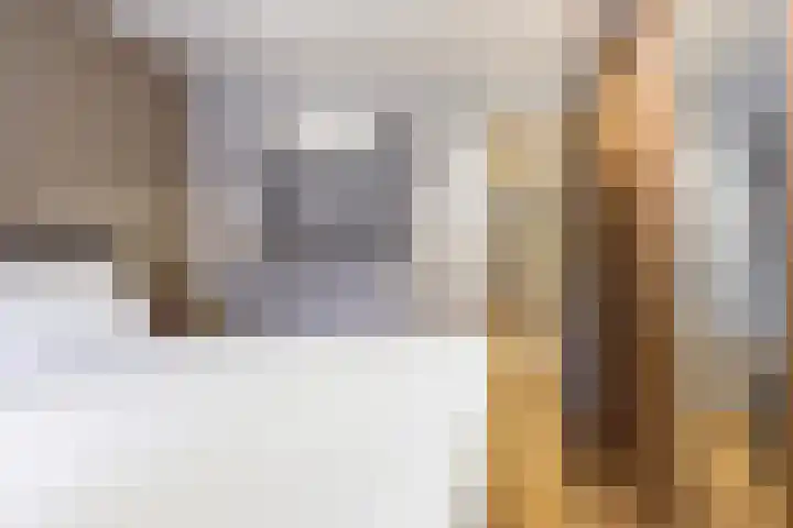 Thomas van Diessenstraat 48 Goirle thumbnail 41