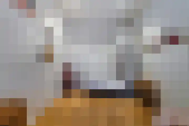 Thomas van Diessenstraat 48 Goirle thumbnail 44