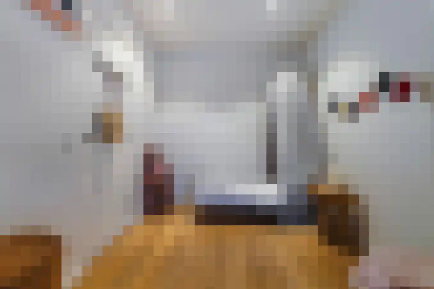 Thomas van Diessenstraat 48 Goirle thumbnail 44