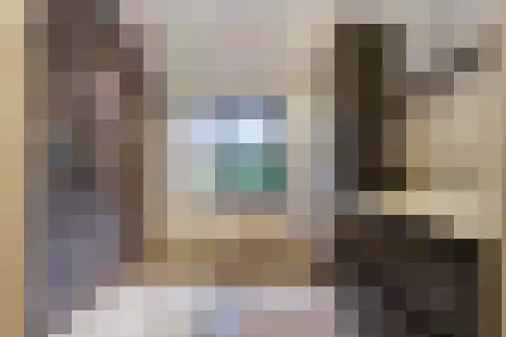 Thomas van Diessenstraat 48 Goirle thumbnail 45