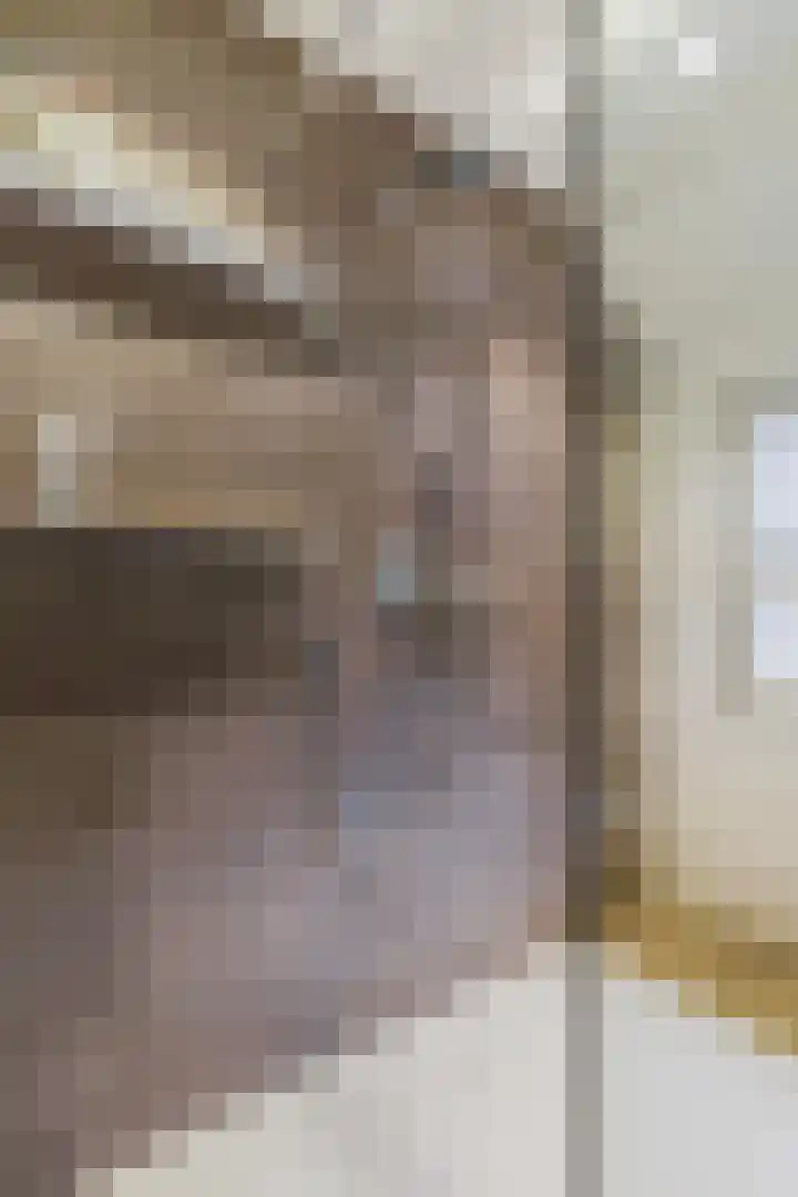 Thomas van Diessenstraat 48 Goirle thumbnail 46