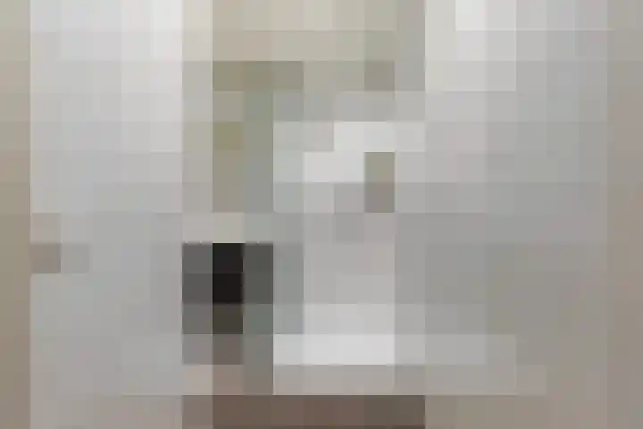 Thomas van Diessenstraat 48 Goirle thumbnail 49