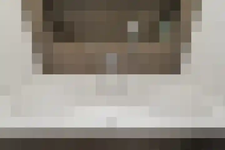 Thomas van Diessenstraat 48 Goirle thumbnail 52