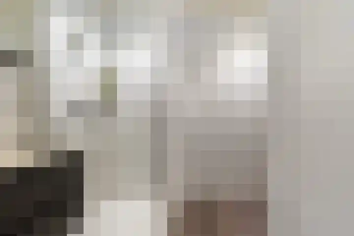 Thomas van Diessenstraat 48 Goirle thumbnail 54