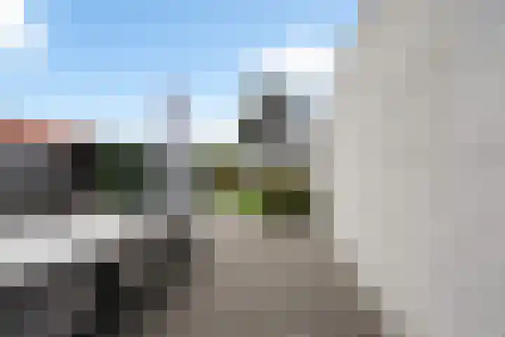 Thomas van Diessenstraat 48 Goirle thumbnail 55
