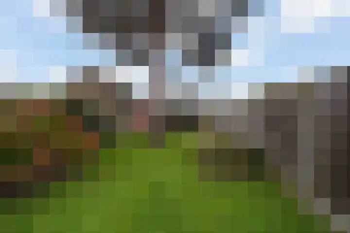 Thomas van Diessenstraat 48 Goirle thumbnail 63