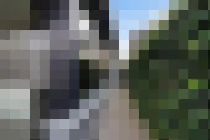 Thomas van Diessenstraat 48 Goirle thumbnail 64