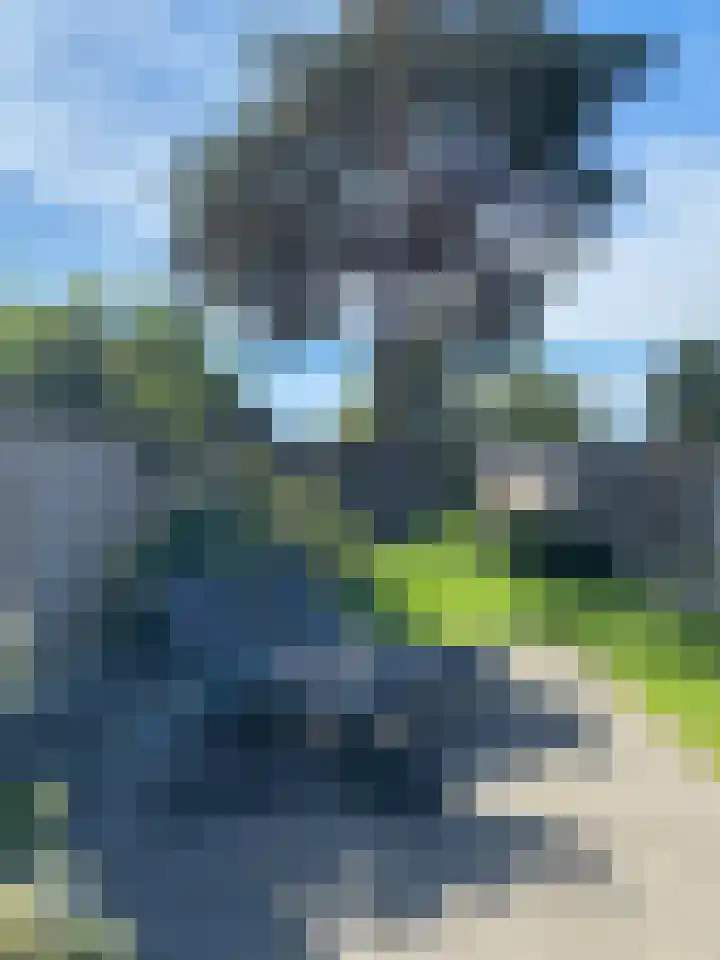 Thomas van Diessenstraat 48 Goirle thumbnail 67