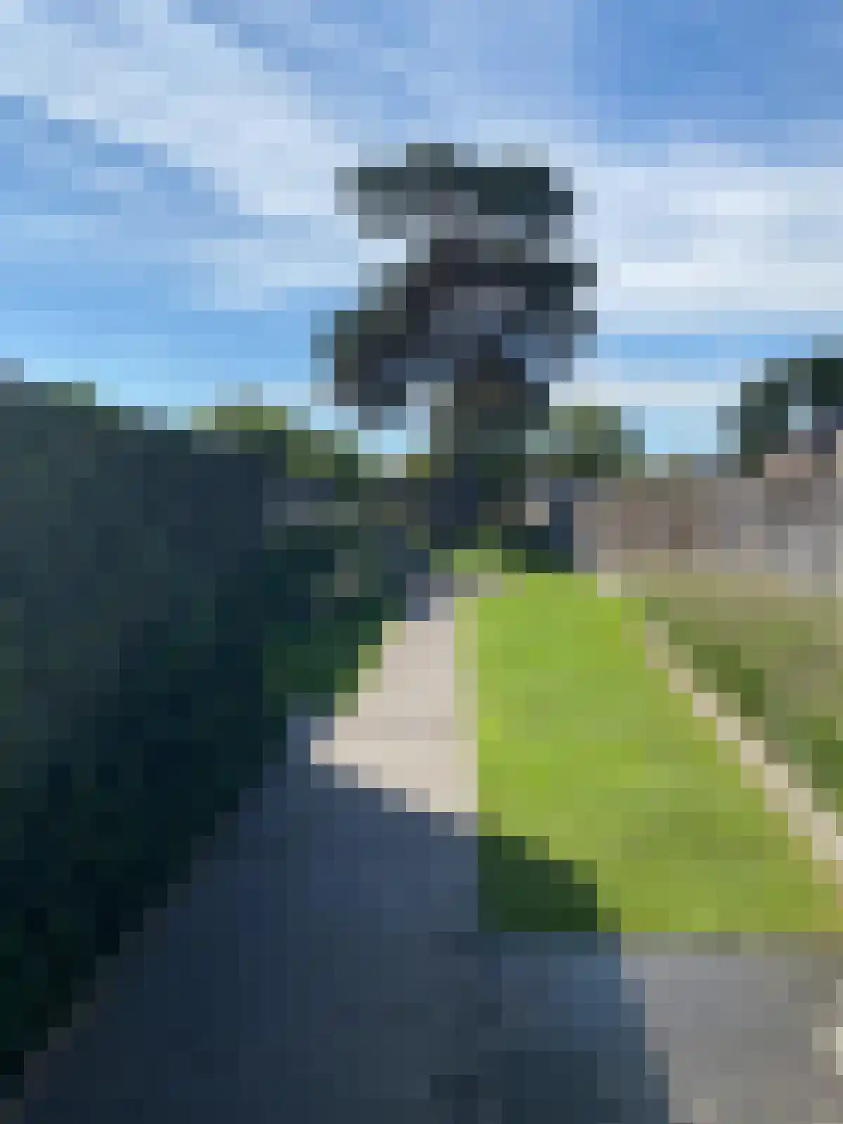Thomas van Diessenstraat 48 Goirle thumbnail 68