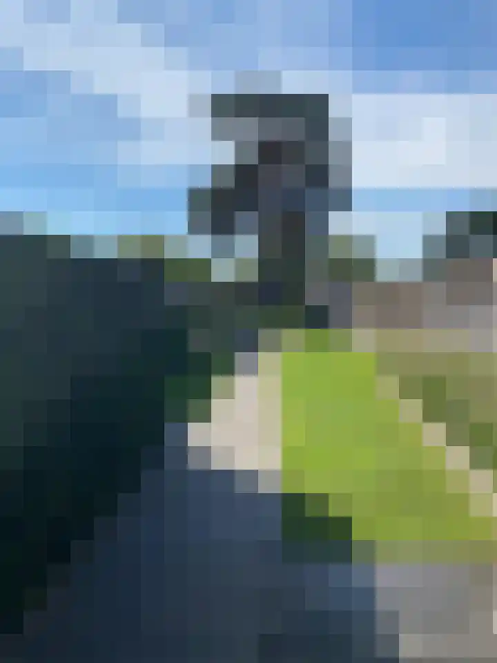 Thomas van Diessenstraat 48 Goirle thumbnail 68