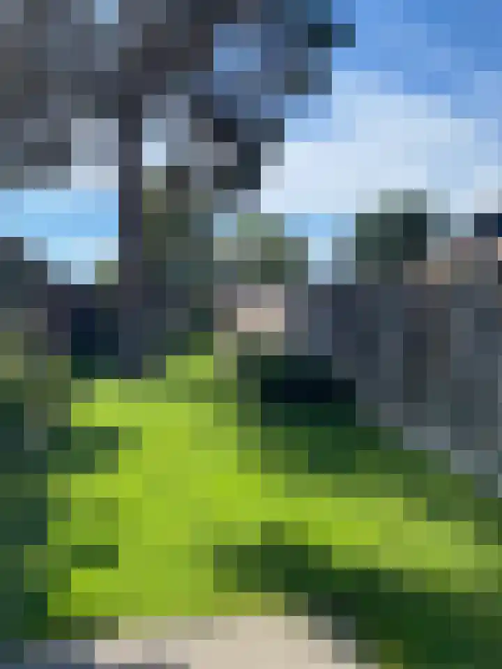 Thomas van Diessenstraat 48 Goirle thumbnail 70
