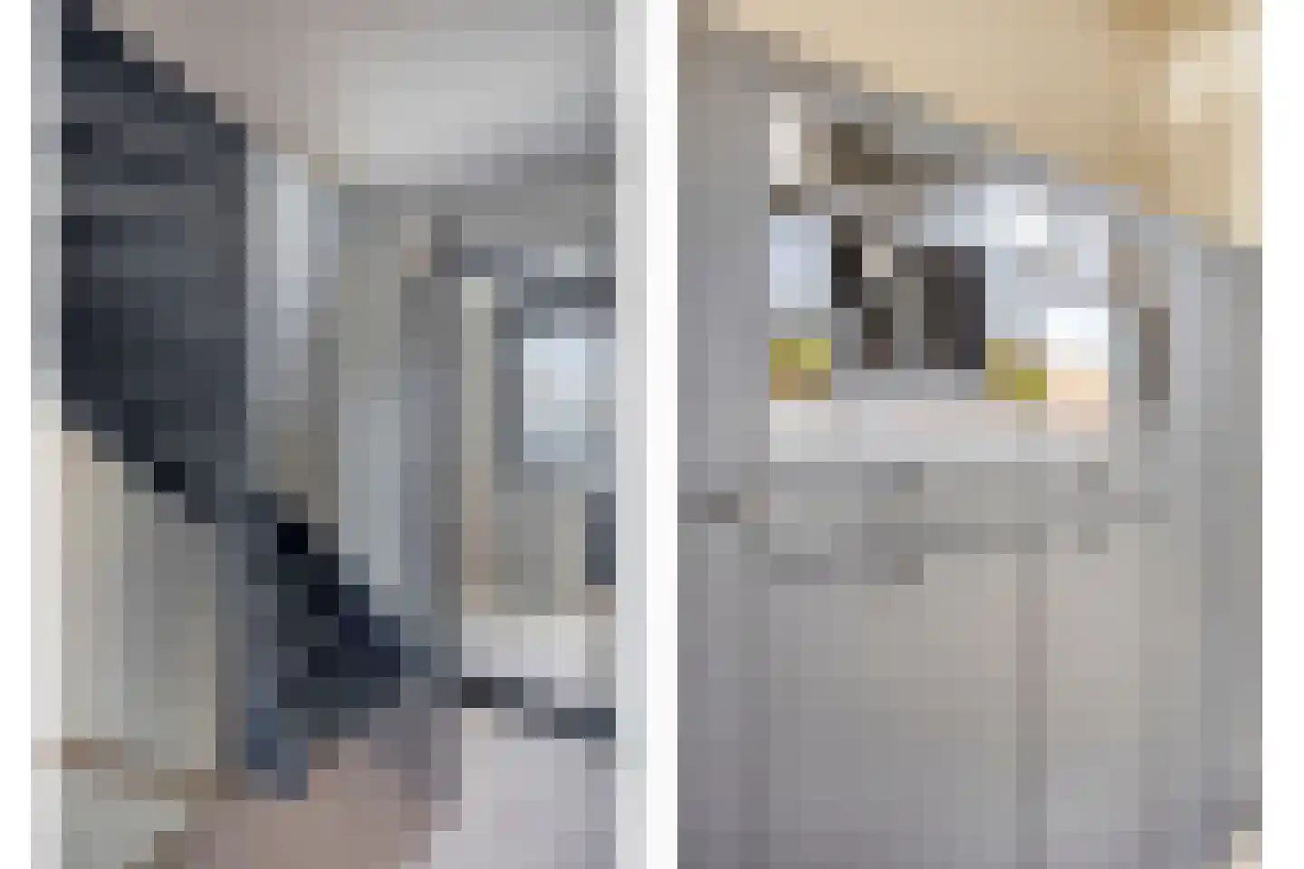 Thomas van Heereveldstraat 2 a Weurt thumbnail 11