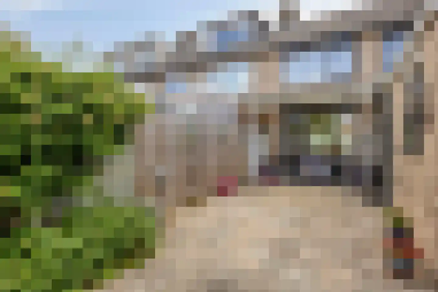 Thomas van Heereveldstraat 26 Weurt thumbnail 22