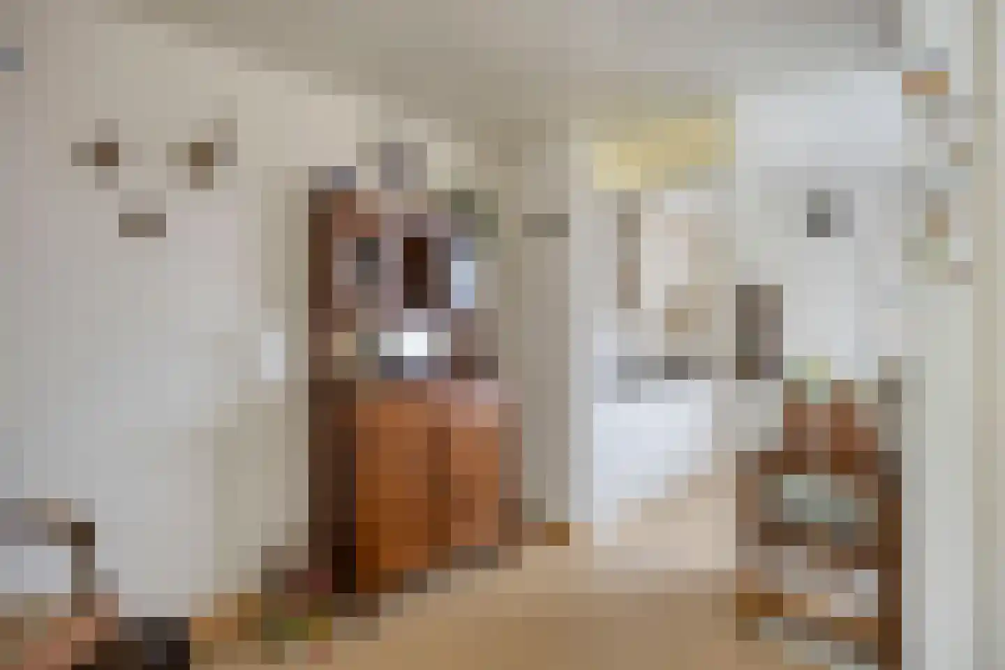 Thomas van Heereveldstraat 26 Weurt thumbnail 7
