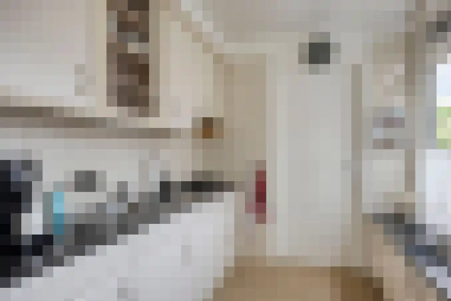 Thomas van Heereveldstraat 26 Weurt thumbnail 8
